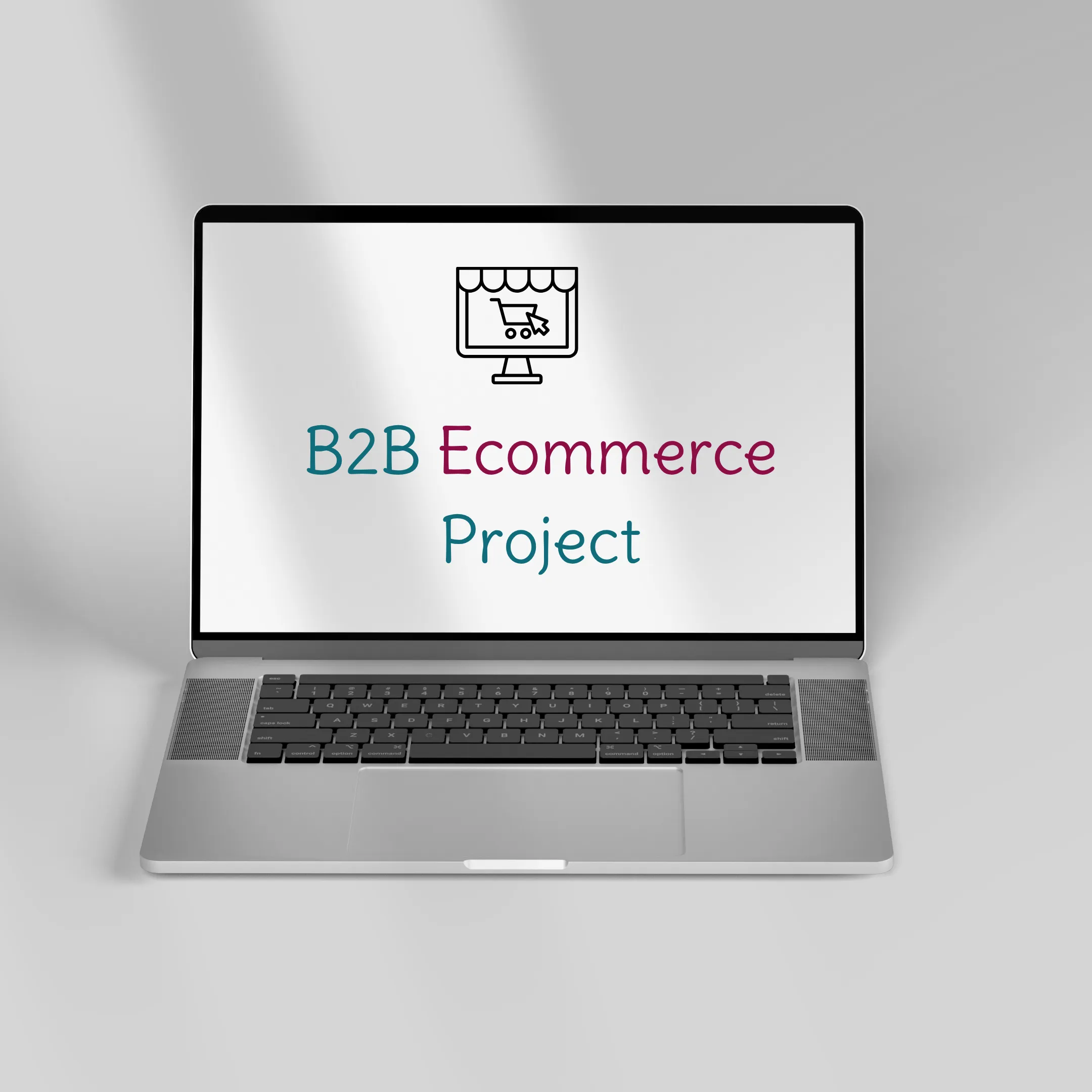 Enterprise B2B Ecommerce Platform